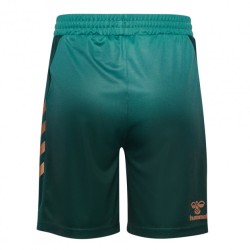 Pantaloncini Terzi Werder Bremen 2025/26 Uomo Pantaloncini Terzi Werder Bremen 2025/26 Uomo