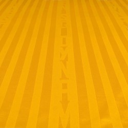 Maglia Home Uomo a Maniche Lunghe Dynamo Dresden 2026/27