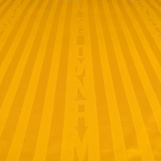 Maglia Home Uomo a Maniche Lunghe Dynamo Dresden 2026/27