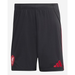 Pantaloncini Trasferta Liverpool Uomo 2025/26 Pantaloncini Trasferta Liverpool Uomo 2025/26