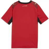 Maglia Mondiali 2026 Casa Egitto Uomo Maglia Mondiali 2026 Casa Egitto Uomo