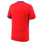 Uomo PSG 2025/26 Terza Maglia