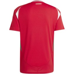 Maglia Casa Ungheria EURO 2024 Maglia Casa Ungheria EURO 2024
