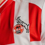 Uomo 1. FC Köln 2025/26 Terza Maglia Hummel Diversità