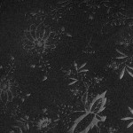 Maglia Speciale Total Black Dynamo Dresden Uomo 2025/26 Maglia Speciale Total Black Dynamo Dresden Uomo 2025/26