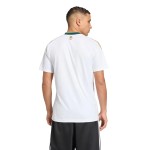 Maglia Arabia Saudita Coppa del Mondo 2026 Away Donna