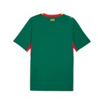 Maglia Mondiali 2026 Trasferta Senegal Uomo