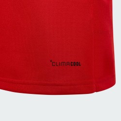 Bambino Galles 2025/26 Maglia Manica Lunga 150° Anniversario Bambino Galles 2025/26 Maglia Manica Lunga 150° Anniversario