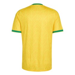 Maglia Sudafrica Coppa del Mondo 2026 Home Donna Maglia Sudafrica Coppa del Mondo 2026 Home Donna