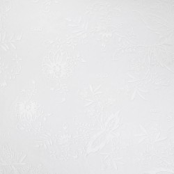 Uomo Dynamo Dresden 2025/26 Maglia Speciale Whiteout