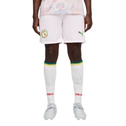 Pantaloncini Mondiali 2026 Casa Senegal Uomo