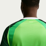 Maglia Mondiali 2026 Casa Nigeria Uomo Maglia Mondiali 2026 Casa Nigeria Uomo