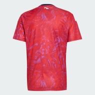 Maglia casa Coppa del Mondo 2026 Costa Rica uomo