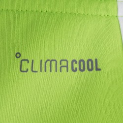 Pantaloncini Third Uomo FC Schalke 04 2026/27 Verde