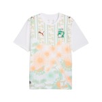 Maglia Côte d’Ivoire Coppa del Mondo 2026 Away Uomo