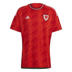 Galles Maglia Casa Coppa del Mondo 2022