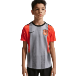 Bambino Chelsea 2025/26 Terza Maglia Pre-Match Grigia