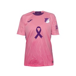 Maglia speciale cancro al seno TSG Hoffenheim 2025/26 da uomo