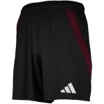 Pantaloncini Casa 1. FC Nürnberg Donna 2024/25 Pantaloncini Casa 1. FC Nürnberg Donna 2024/25