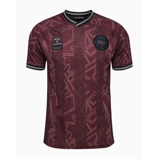 Maglia speciale 2024 della Danimarca da uomo