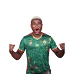 Maglia Third Camerun 2025/26 Fourteen AFCON da uomo Maglia Third Camerun 2025/26 Fourteen AFCON da uomo