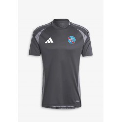 Maglia Pre Partita Terza Strasbourg Uomo 2024/25 - Grigio