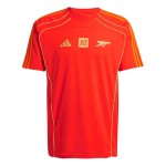 Bambino Arsenal x NTS 2025/26 Maglia Urban Purist - Arancione