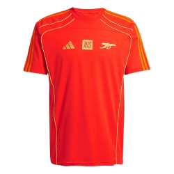 Uomo Arsenal x NTS 2025/26 Maglia Urban Purist - Arancione
